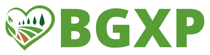 BGXP-Packaging